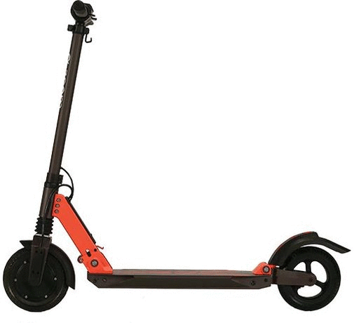 Zoom electric Scooter folds easily